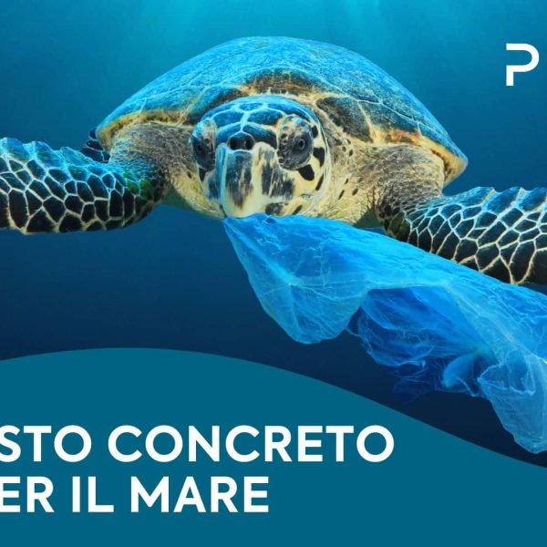 Aroma Plus+ Ocean - Image 7